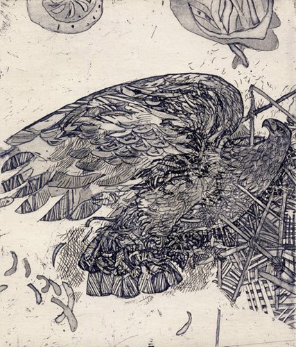 Eagles in a zoo; Etchings