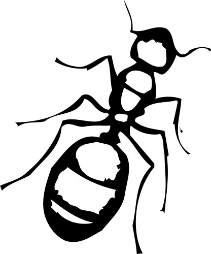 Ant; Insect, Ant, Crawling, Antennae, Legs, Colony