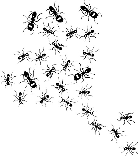 Ants; Insect, Ant, Crawling, Swarm, Army, Colony