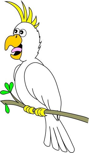 Cockatoo; Animals