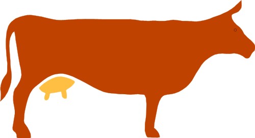 Silhouette of cow; Cow, Bovine, Farm, Mammal, Design