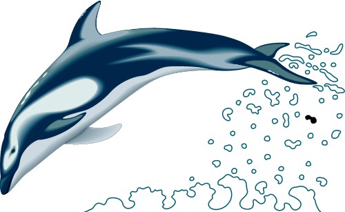 Dolphin; Animal, Mammal, Totem, Dolphin