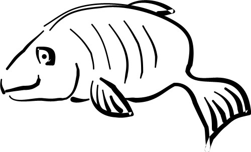 Fish; Outline, Water