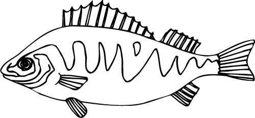 Fish; Outline, Water