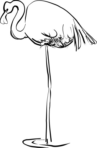Flamingo; Perch