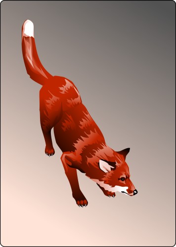 Red Fox; Animals