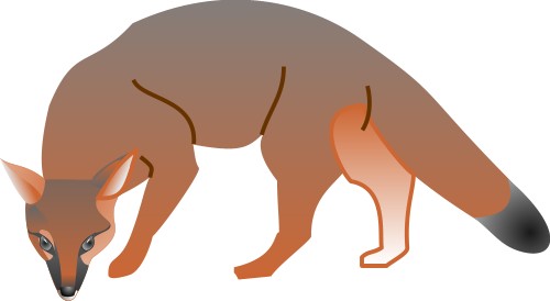 Fox; Animals