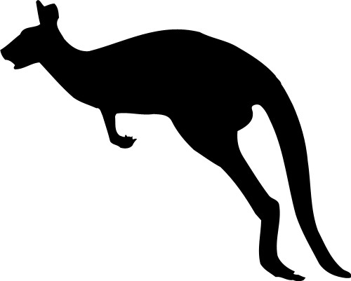 Kangaroo; Animal