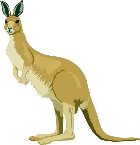 Kangaroo; Animal, Pacific, Totem, Kangaroo