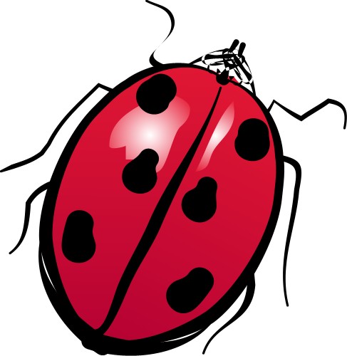 Ladybird; Insect, Flying, Wings, Antennae, Red, Black, Spots