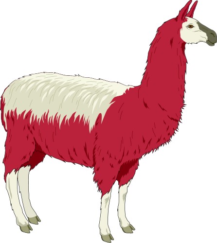 Llama; Animal, South, America, Totem, Llama