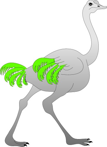 Animals: Ostrich running