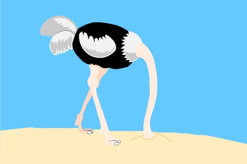 Animals: Ostrich with its head in the sand