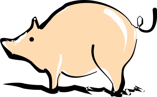 Pig; Animal, Farm, Domestic