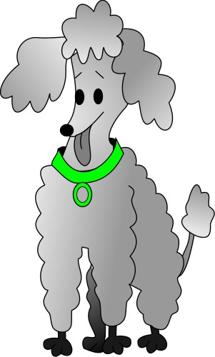 Poodle with green collar; Animals