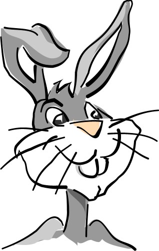 Rabbit; Head, Cartoon, Buck, Doe, Animal