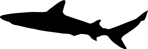Animals: Shark