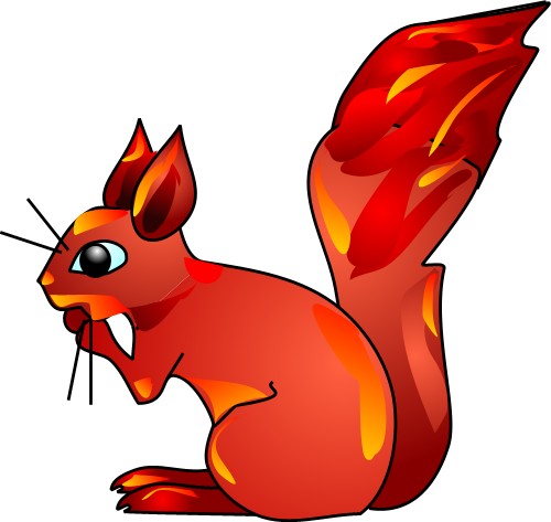 Red squirrel; Squirrel, Rodent, Mammal