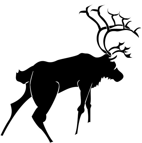 Stag; Animal