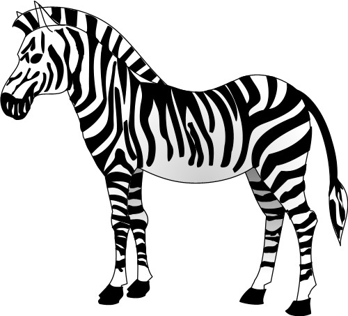 Zebra; Zebra, Mule, Mammal