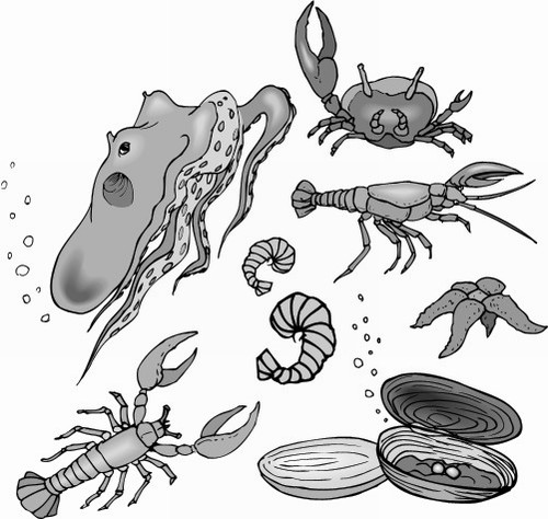 Crustaceans; Crustacean, Nautical, ImageClub, Crustaceans