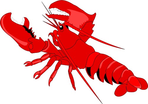 Lobster; Crustacean, Food, Corel, Lobster