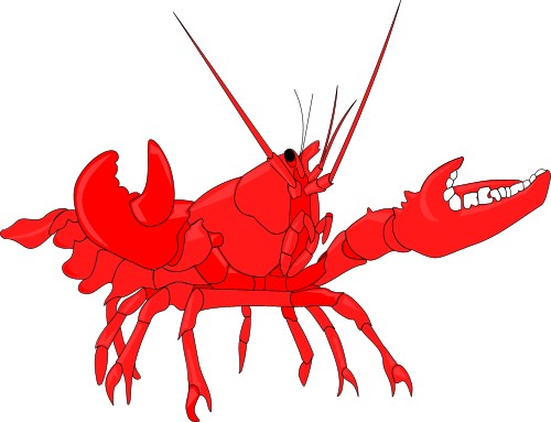 Crustace: Lobster