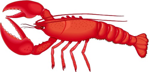 Lobster; Crustacean, Food, Corel, Lobster