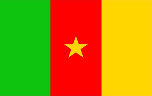 Cameroon; Flag