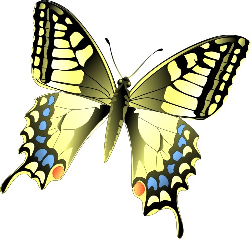 Corel Xara: Swallowtail butterfly in flight