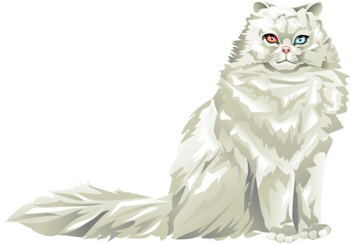 White cat with one green eye and one red eye; Corel Xara