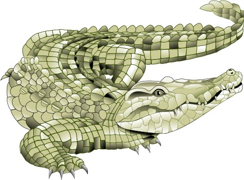 Crocodile; Corel Xara