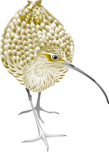 Curlew; Bird, Wing, Animal