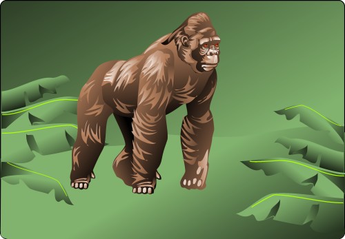 Gorilla in forest; Ape, Mammal, Animal