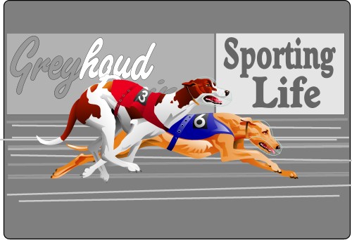 Two greyhounds racing around a track; Dog, Mammal, Sport, Domestic, Animal