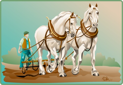 Two horses pulling a plough; Horse, Mammal, Working, Domestic, Animal, Farm