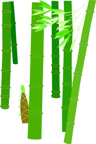 Japanese Bamboo; Asia, Plant, Matsuri, Graphics, Japanese, Bamboo