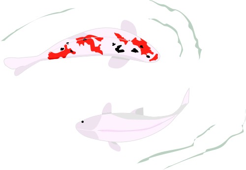 Japanese Carp; Asia, Fish, Matsuri, Graphics, Japanese, Carp