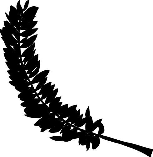 Feather; Fern, Corner
