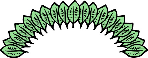 Semicircle of leaves; Leaves, Plant, Border