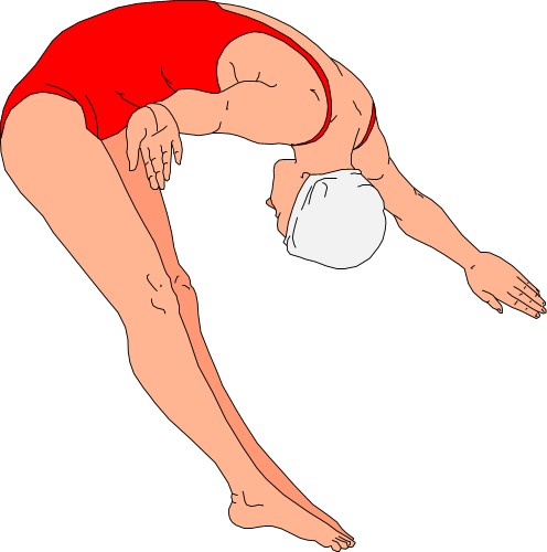 Woman diving; Sport