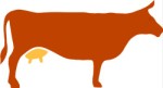 Silhouette of cow, Animals