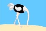 Ostrich with its head in the sand, Animals