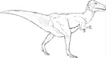 Tyrannosaurus Rex, Animals, views: 5835