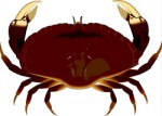 Crab, Crustace, views: 2778