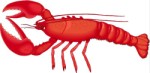Lobster, Crustace