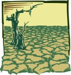 Drought, Environm, views: 3619