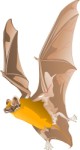 Bat in flight, Corel Xara