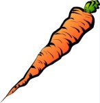Carrot, Food
