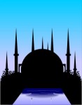 Mosque, Travel